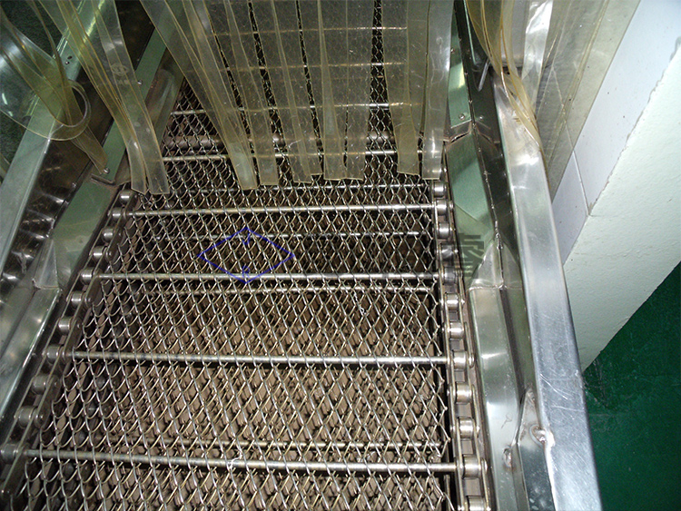 清洗機(jī)鏈條S網(wǎng)